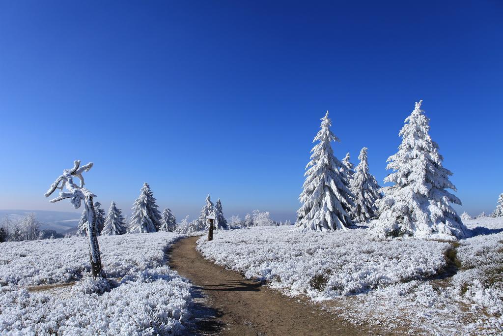 Hapimag Ferienwohnungen Winterberg Exterior foto